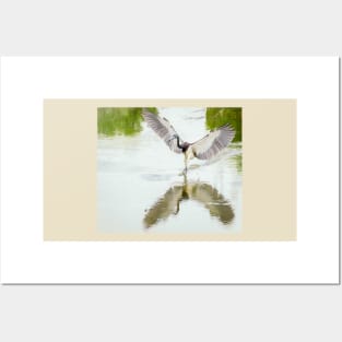 Tricolored Heron Angel Wings Photopainting Posters and Art